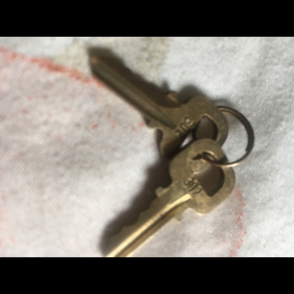 Set of Louis Vuitton keys for little locket